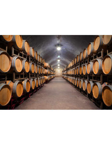 mais aussi des caves à vin...
