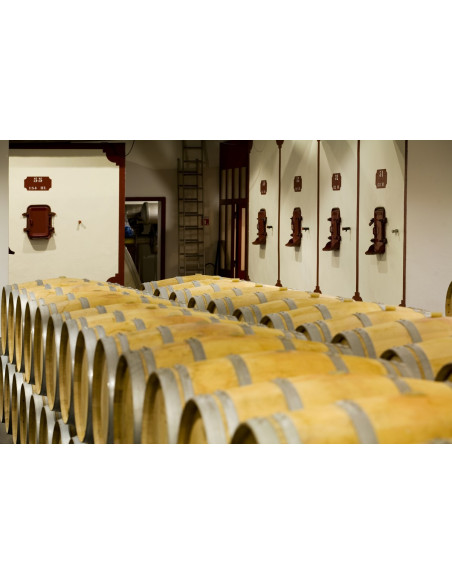 Caves où sont stockés des barriques pour le vieillissement du vin, on appelle cela : l'élevage du vin :)