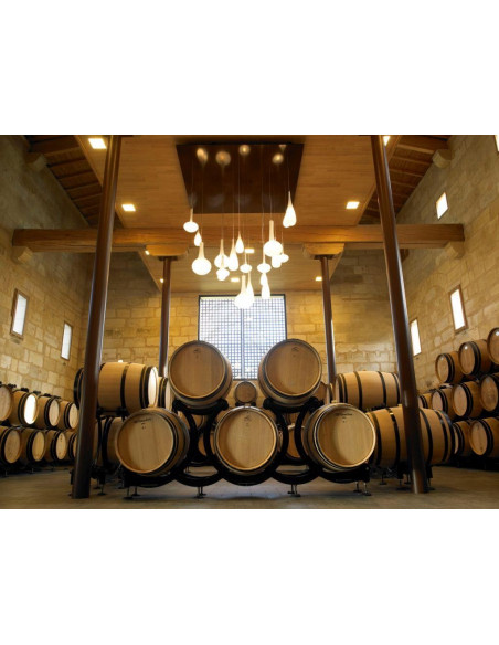 Des visites guidées de caves viticoles de Grands Crus sont au programme de ce séjour