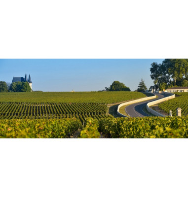Parcourez la route des vins et découvrez deux Châteaux du Bordelais