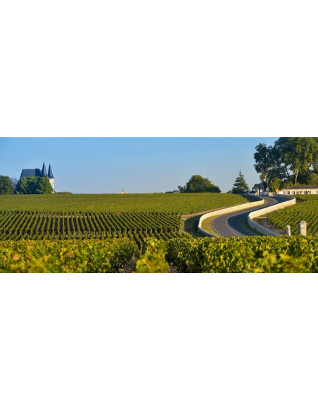 Parcourez la route des vins et découvrez deux Châteaux du Bordelais