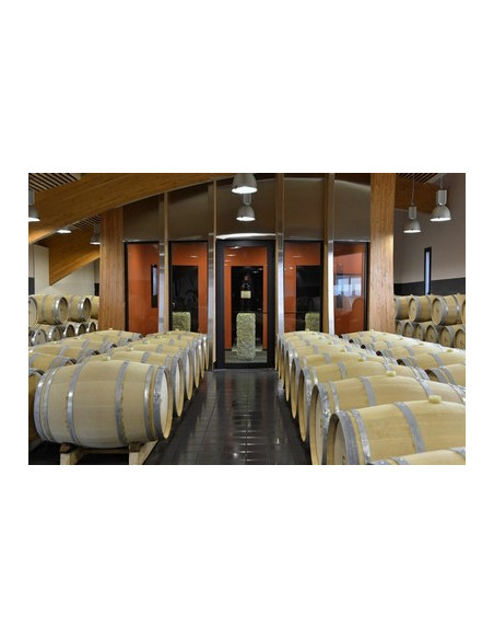 Le chai à barriques du Saint-Emilion Grand Cru !