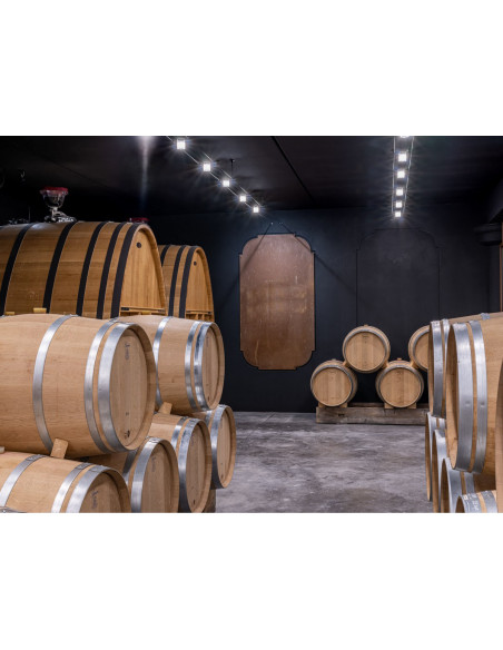 Découvrez le chai à barriques du Saint-Emilion Grand Cru Classé