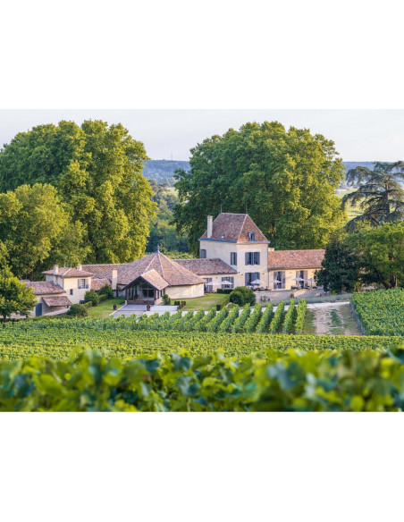 Le Château Grand Cru Classé de Saint-Emilion et son vignoble