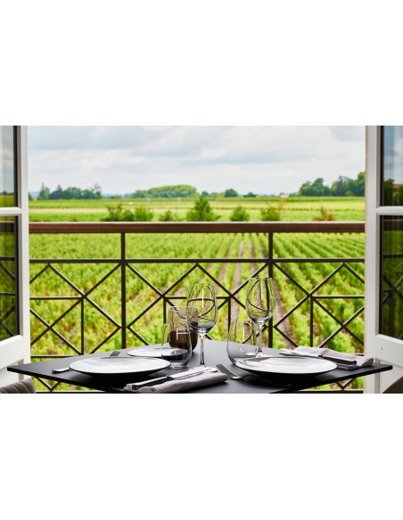 Vue sur le vignoble du Médoc :)