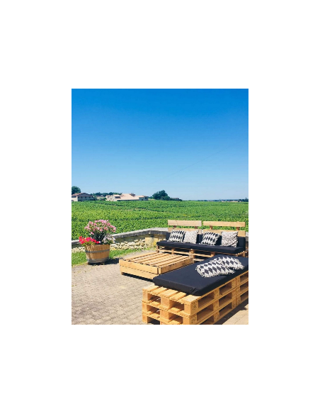En fin de visite, dégustez face aux vignes !