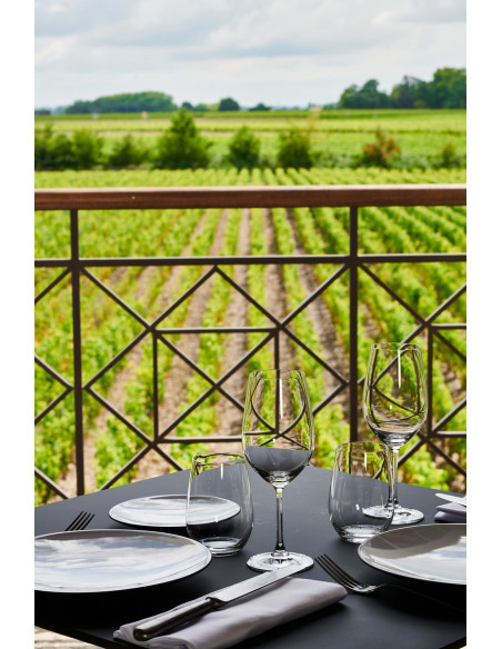 Appréciez la vue depuis l'intérieur du restaurant, un océan de vignes...