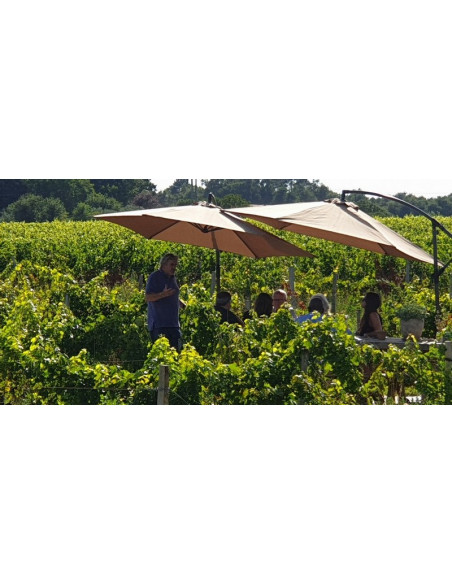 Le viticulteur vous accueille et partage son savoir faire, de la grappe de raisin à la bouteille de vin :)