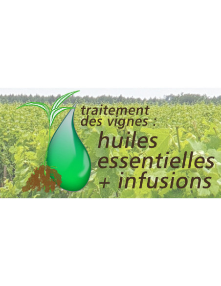 sans oublier le traitement des vignes à base d'huiles essentielles et d'infusions...