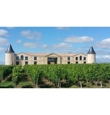 Château viticole entouré de vignes à Saint-Estèphe