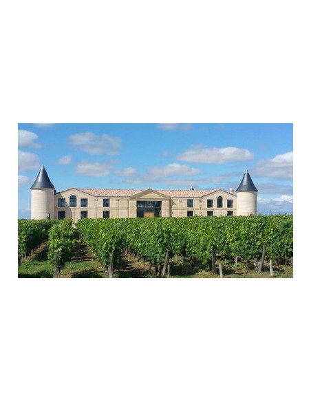 Château viticole entouré de vignes à Saint-Estèphe