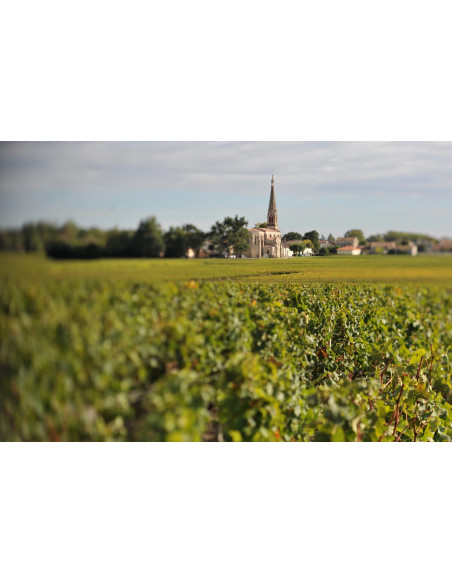 Le village de Saint-Emilion au loin et son vignoble classés par l'UNESCO