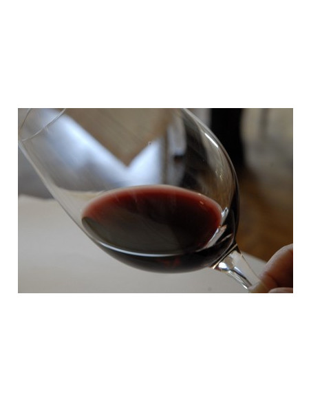 Appréciez la robe du vin, étape essentielle de la dégustation des vins