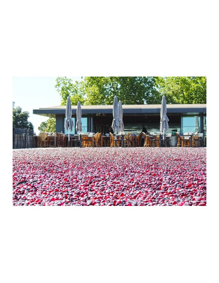 La terrasse du restaurant