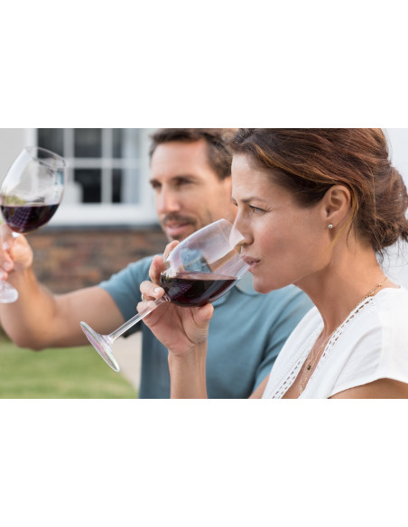 Dégustez et appréciez le vin ensemble lors de ce séjour oenologie
