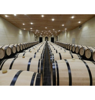 Chai de vieillissement du vin rouge de Bordeaux
