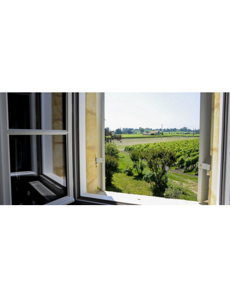Votre vue depuis la chambre au Château viticole