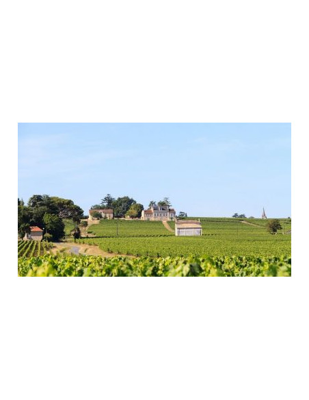 Un domaine viticole de Saint-Emilion avec vignoble et cave