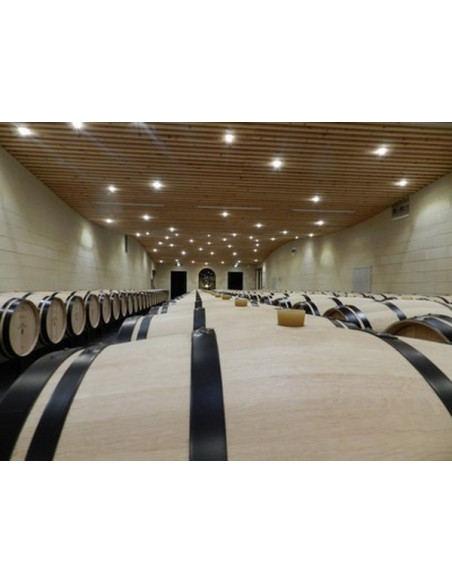 Une cave d'un Grand Cru Classé où le vieillissement du vin rouge en barrique vous sera expliqué en détail !