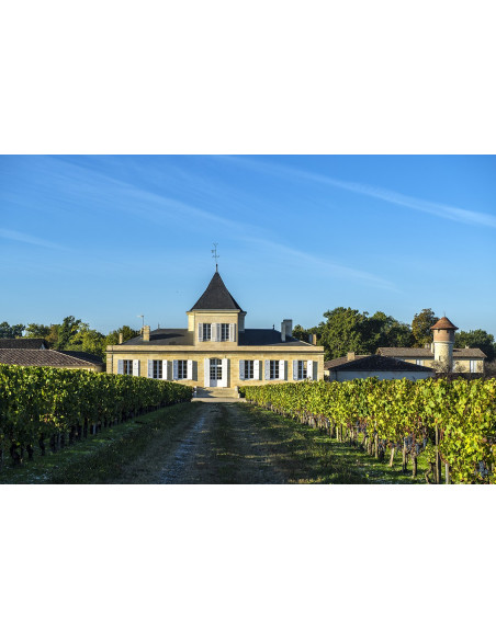 Domaine viticole en Bordelais