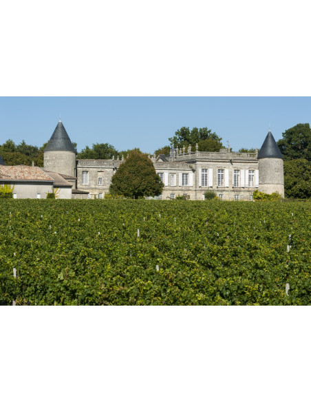 Visite de vignoble au programme !