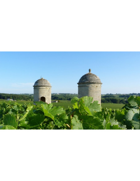 Son terroir, les cépages...