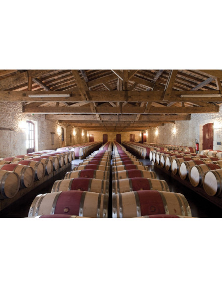 Découvrez le grand vin de Bordeaux en barriques pendant son vieillissement