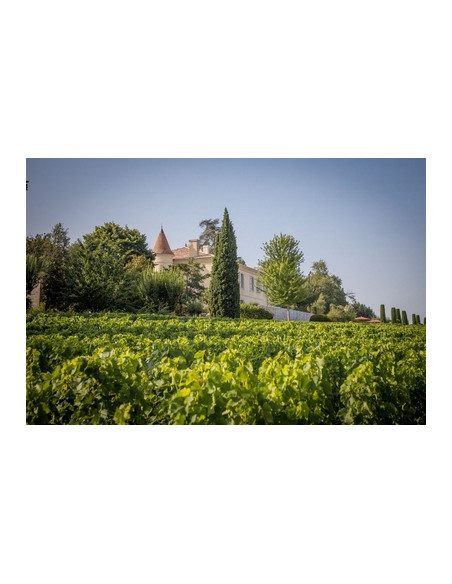 Le vignoble et les châteaux Grands Crus Classés