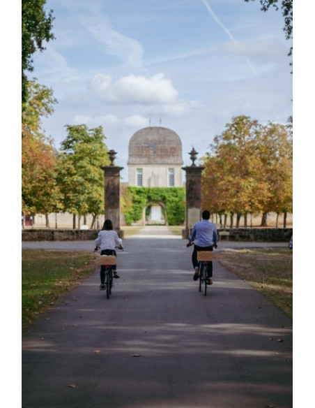 Balade en vélo dans le vignoble