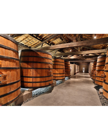 Cuvier de vinification d'un grand vin de Bordeaux