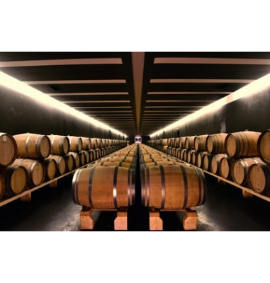 Cave d'un château viticole où sont entreposées les barriques bordelaises