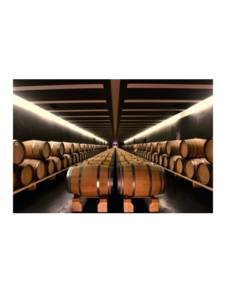 Cave d'un château viticole où sont entreposées les barriques bordelaises