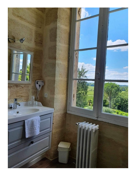 Une salle de bains offrant une vue imprenable sur le vignoble de Saint-Emilion