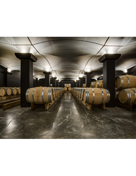 Visitez les caves  et les chais à barriques de domaines viticoles, Saint-Emilion Grand Cru et Grand Cru Classé