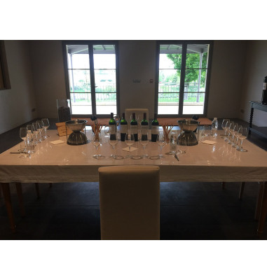 Apprendre le vin lors de votre seminaire entreprise bordeaux
