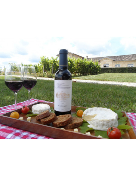 Fromage et degustation vin bordeaux