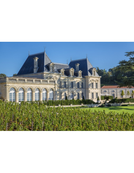 Visite de cave séminaire bordeaux