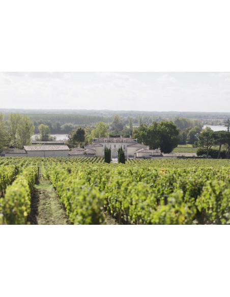 Garden party chateau bordeaux lors de votre voyage incentive