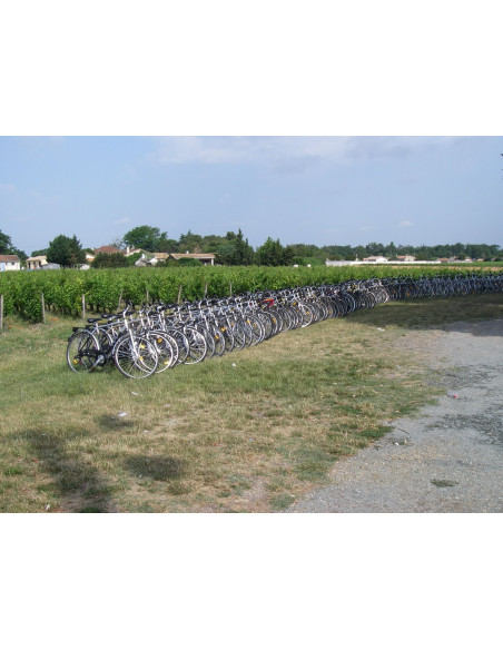 Rallye vélo activité team building