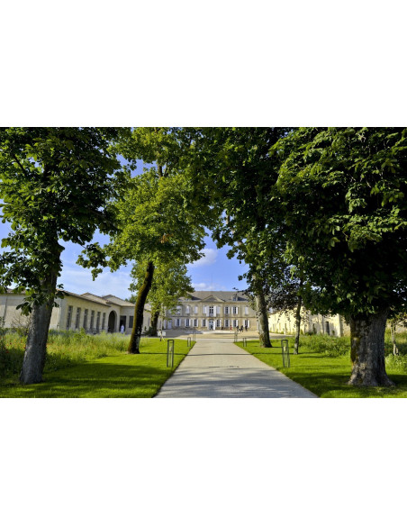 Un Château, Saint-Emilion Grand Cru Classé vous attend pour la découverte de son vignoble et de son vin