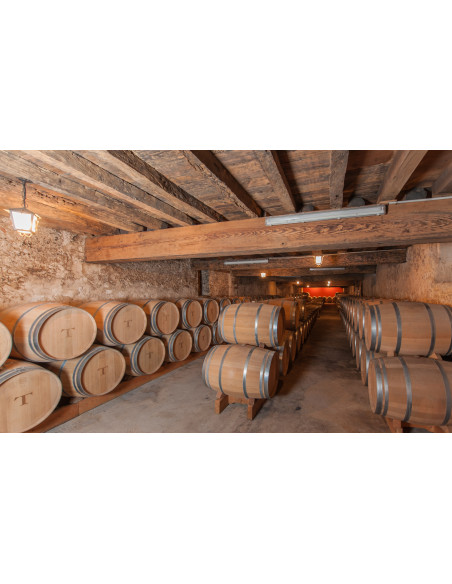 Visitez les caves à vin au préalable avec le travail du vin dans les chais