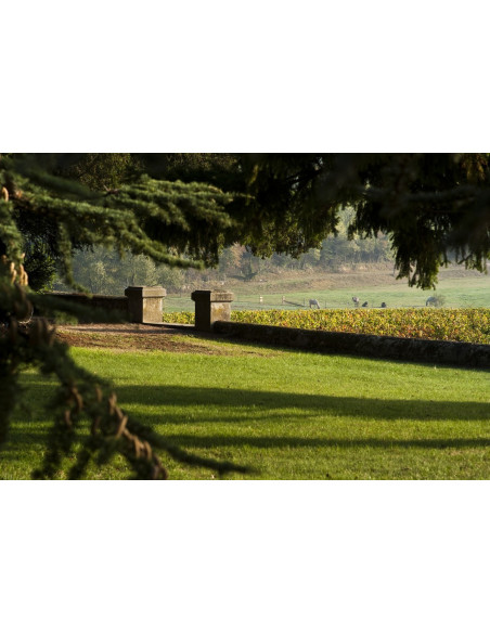 Casino du vin dans un chateau bordelais