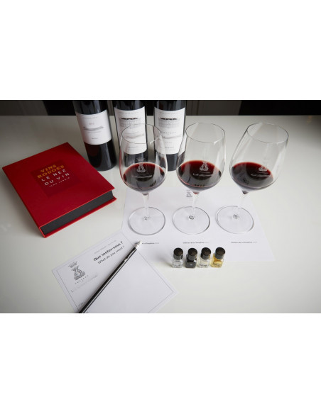 Dans un Saint-Emilion Grand Cru Classé, apprenez comment déguster un vin rouge Bordelais
