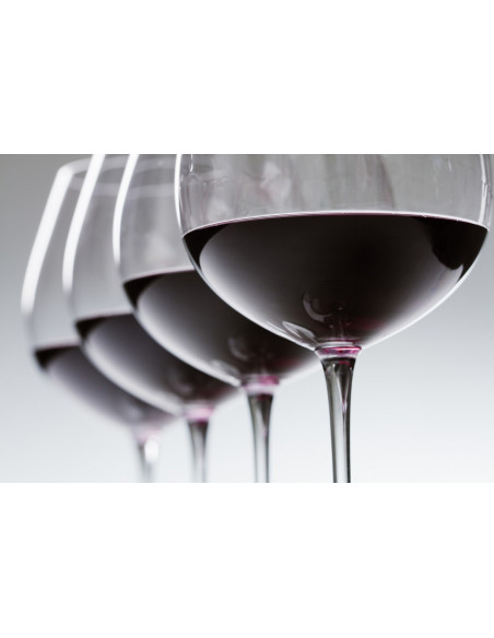 Cours oenologie de 4 vins d'un Grand Cru Classé Saint-Emilion