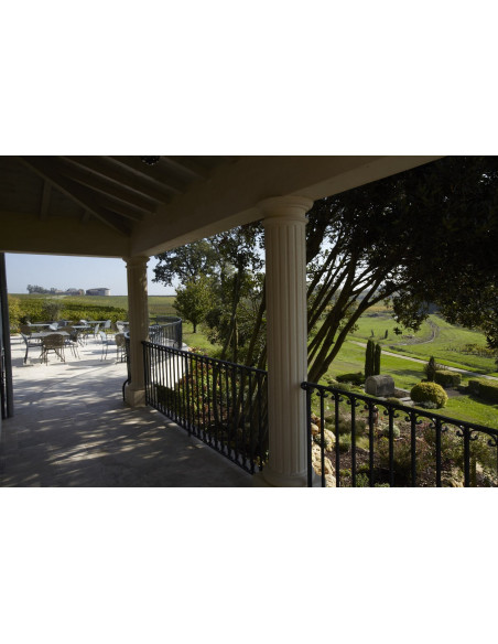 La terrasse du Château surplombant la vigne