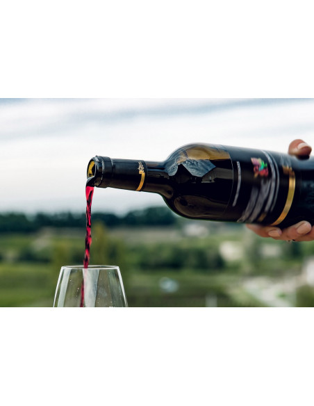 Apprenez à déguster un vin de Bordeaux lors de vos visites de cave, vos dégustations seront commentées