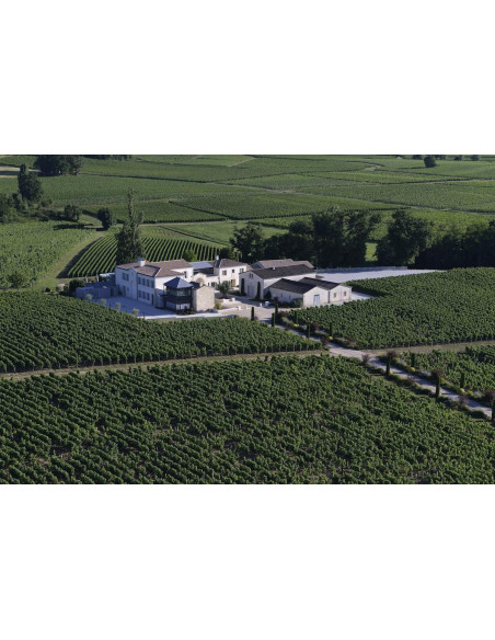 Vue aérienne du Château et du vignoble où vous serez hébergés...