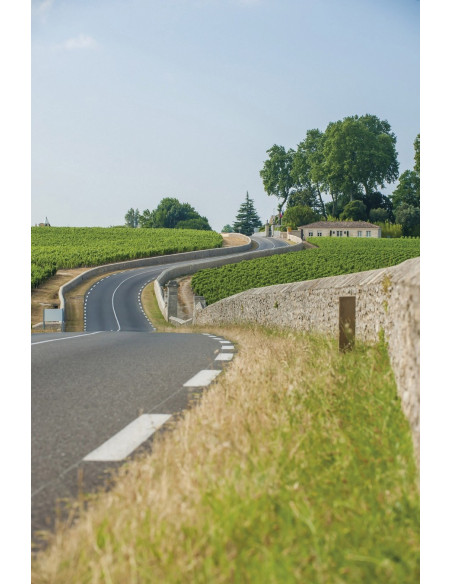 Circuit route des vins Saint-Emilion et Pomerol, découvrez ses plus beaux Châteaux