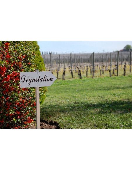 Découvrez le vignoble de Pomerol & Saint-Emilion