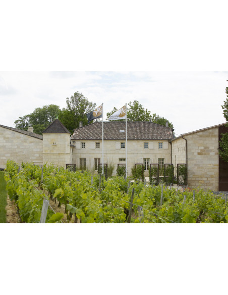 Le Château, Grand Cru Classé Saint-Emilion vous attend pour vous faire découvrir son vignoble et ses vins
